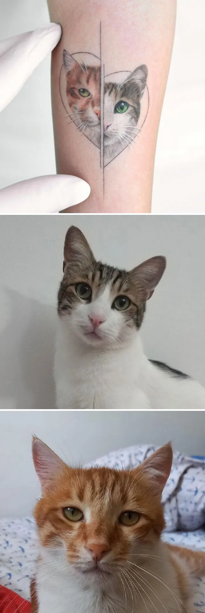 Pet tattoos celebrate human-animal bond, featuring split-face cat design and two matching cats.