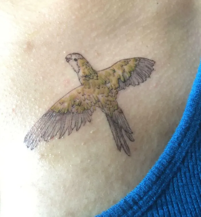 A colorful parrot tattoo symbolizing the bond between humans and pets.