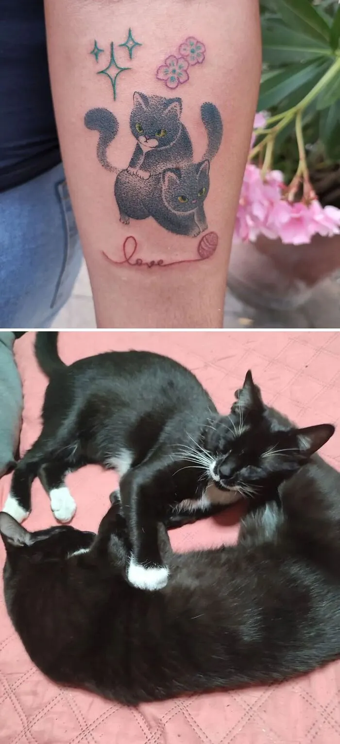 Pet tattoos featuring two playful cats and real-life counterparts cuddling on a pink surface.