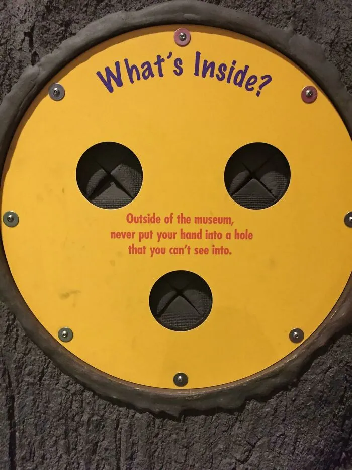 Solid Life Advice From The Local Museum