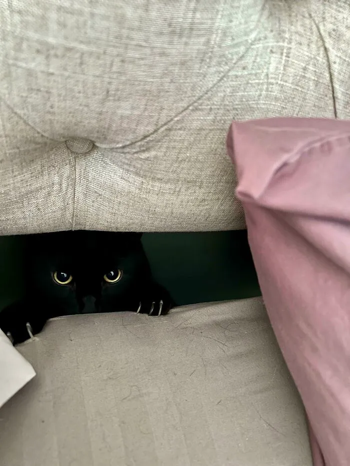 He’s Trying To Lure Me Under The Bed With Red Balloons