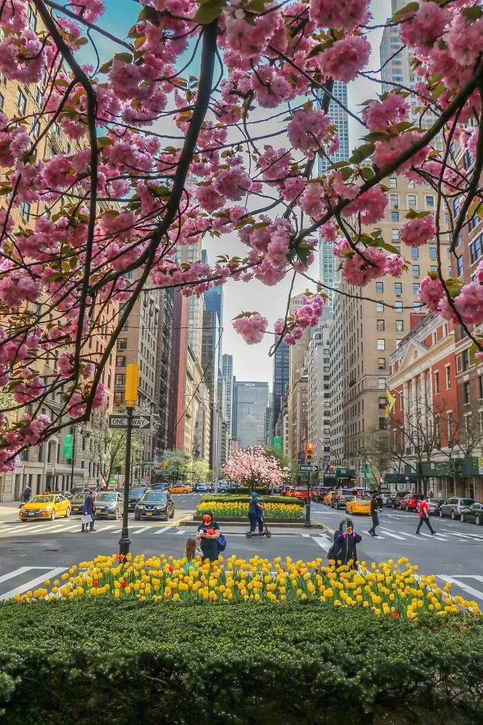 Park Avenue