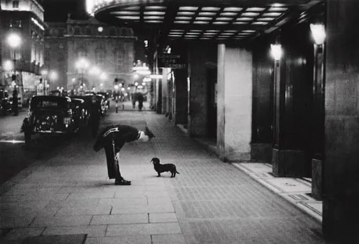 Un comisionado de hotel hablando con un perro salchicha en Piccadilly Circus, Londres. 1938