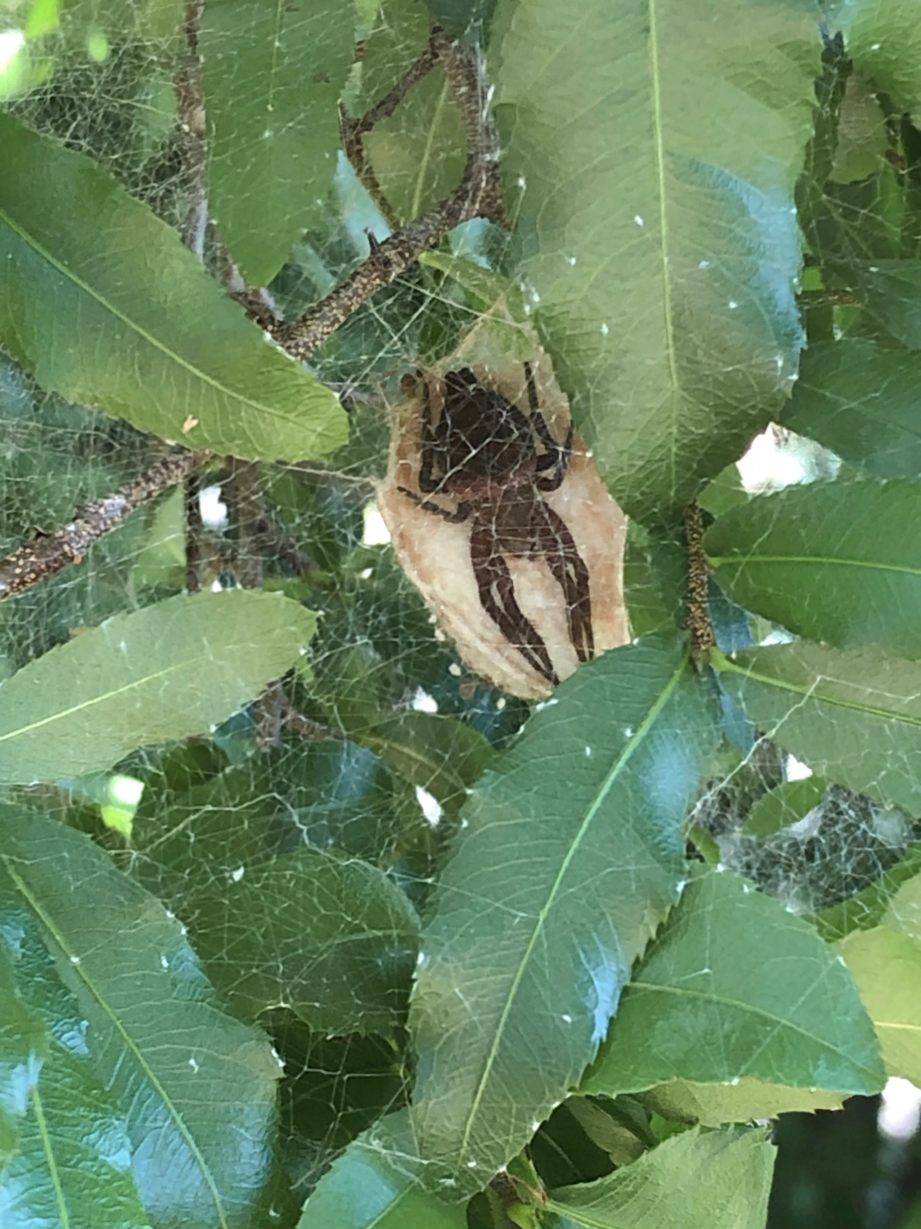 What You Can Find When You Explore Your Backyard!