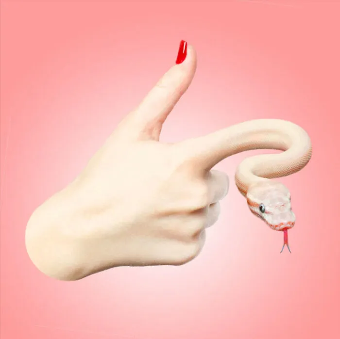 A Photoshop Artist Uses His Imagination To Insert Animals Where You Wouldn't Expect Them To Be ( 18 Pics)