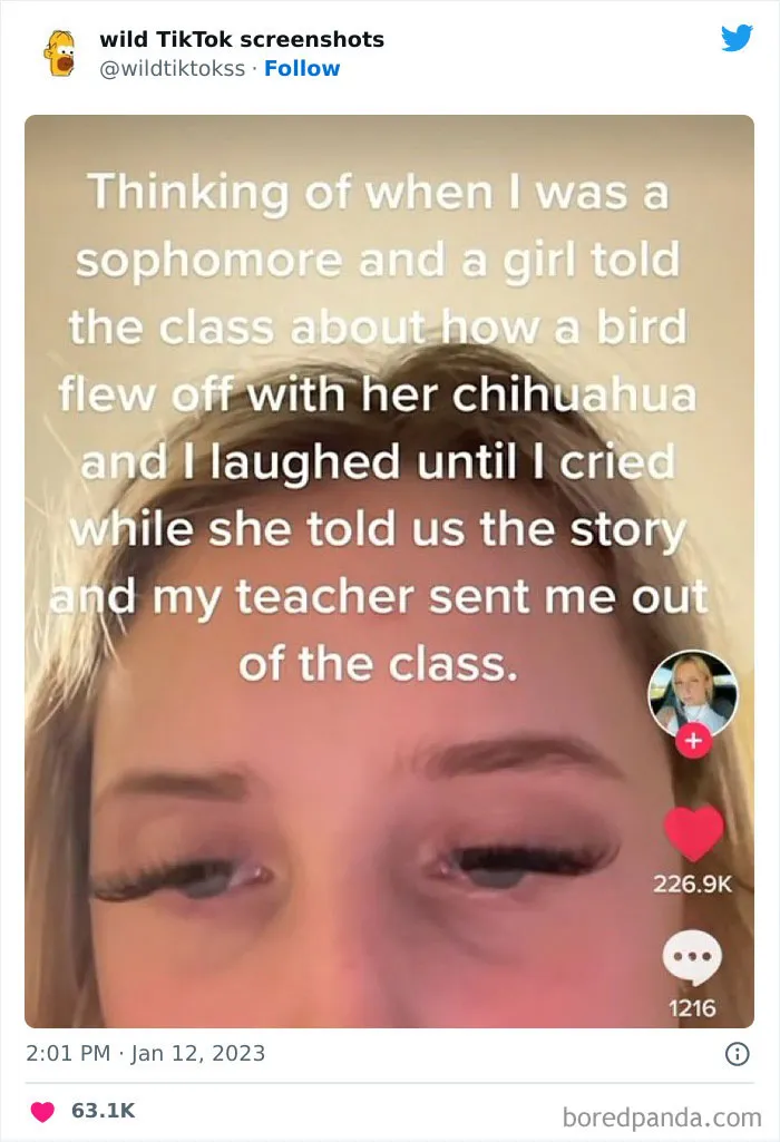 35 Unbelievable Posts On The ‘Wild TikTok Screenshots’ Twitter Page To Make You Question Everything (New Pics)