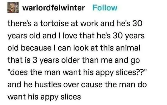 40 Times People Saw Something That Made Them Go 'Hmmm' And They Just Had To Share It Online
