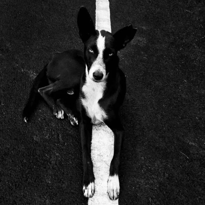 30 Excelentes fotografías tomadas en la calle o en lugares públicos compartidas online