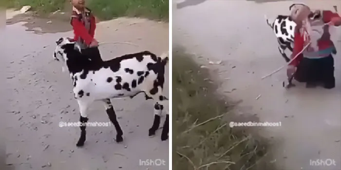 He Deserved It