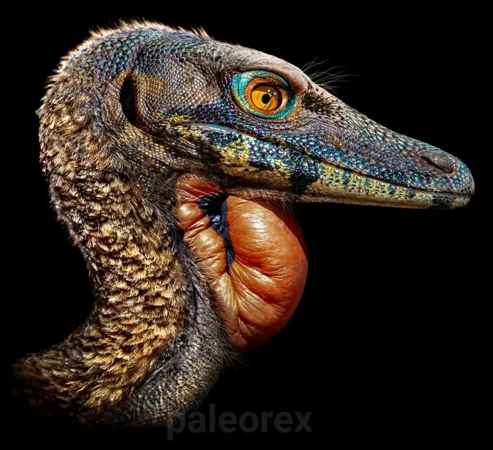Compsognathus