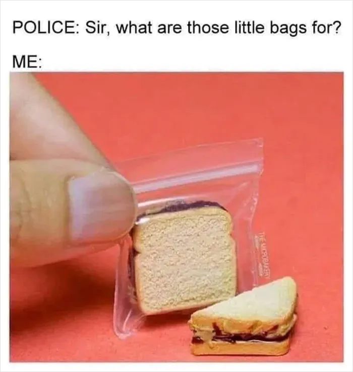 What Is This? A Sandwich Bag For Ants? 🐜