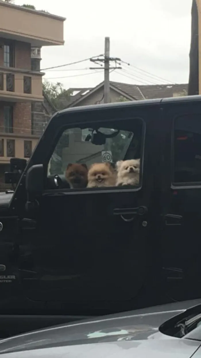 Was Looking At A Cool Car & Found A Nice Surprise