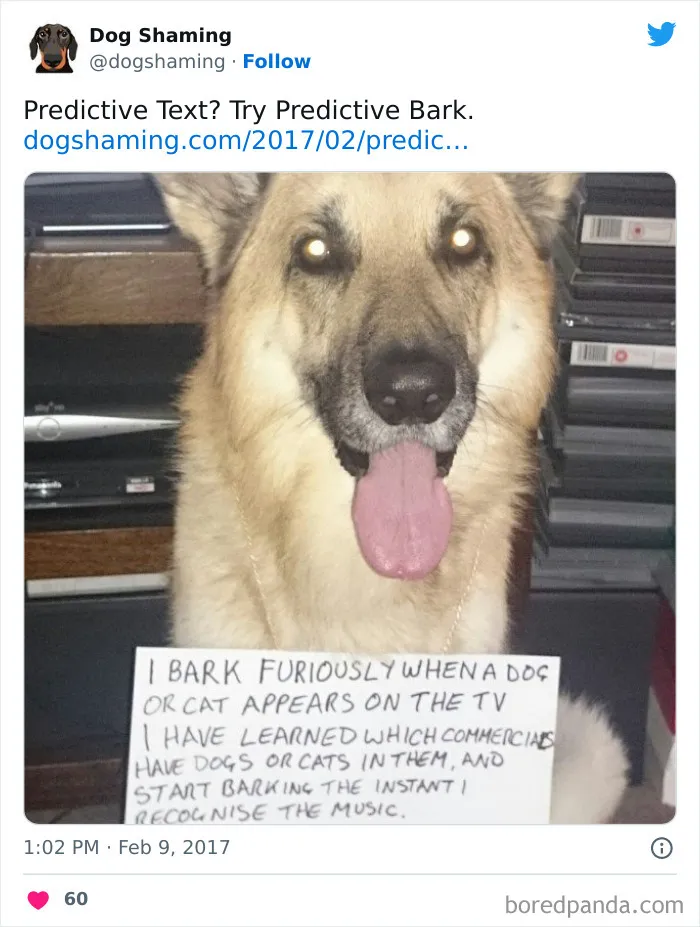 40 Times Pets Did Something Naughty And Ended Up On This “Dog Shaming” Page