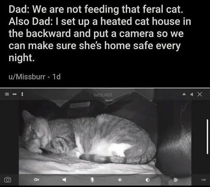 "Meow Incorporated": 50 Perfectly Accurate Memes That Capture What It’s Like Living With Cats