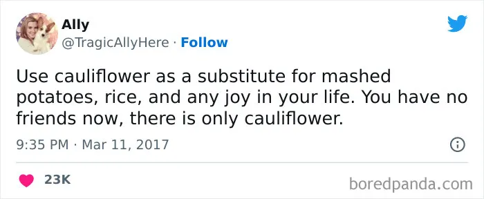 120 Funny Tweets About Dieting To Burn Extra Calories Laughing