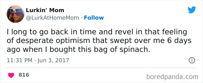 120 Funny Tweets About Dieting To Burn Extra Calories Laughing