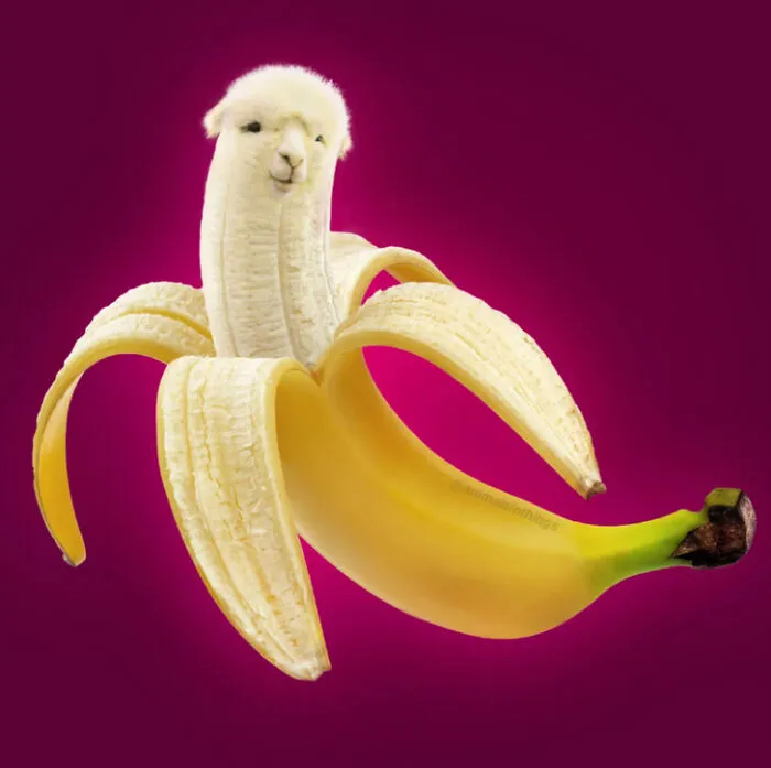 A Photoshop Artist Uses His Imagination To Insert Animals Where You Wouldn't Expect Them To Be ( 18 Pics)