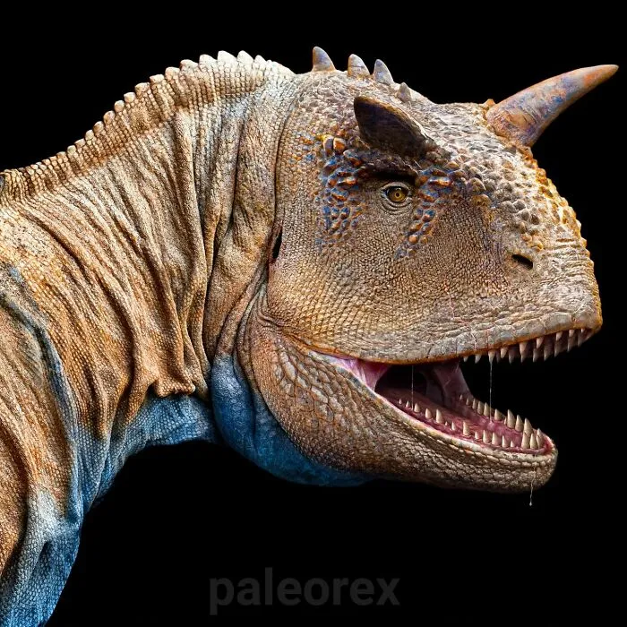 Carnotaurus V2