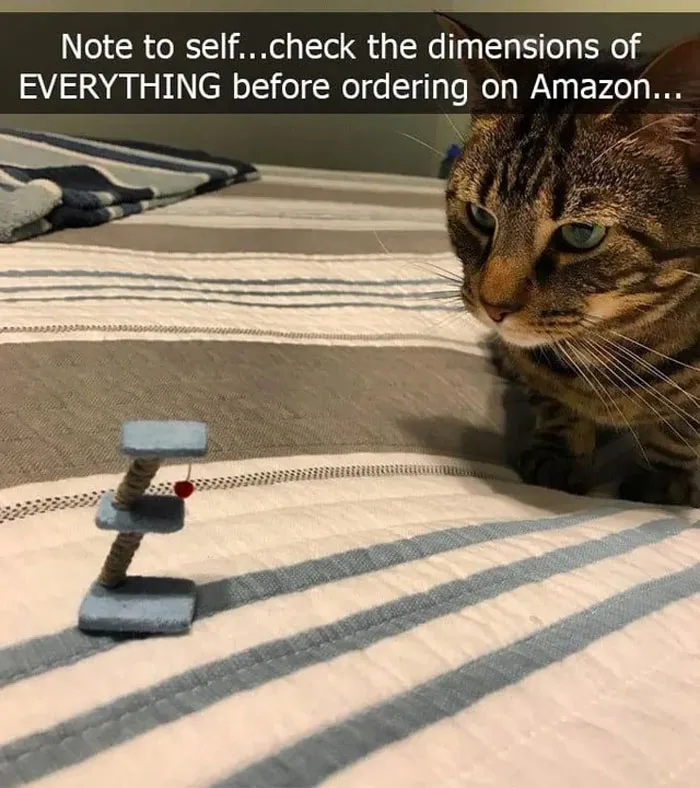 What Is This? A Toy For Ants?