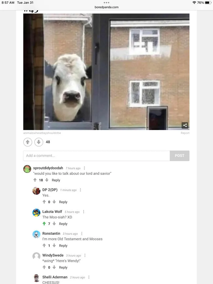 Moo-Siah