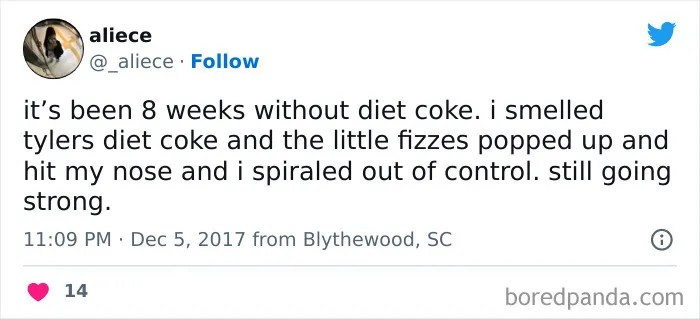 120 Funny Tweets About Dieting To Burn Extra Calories Laughing