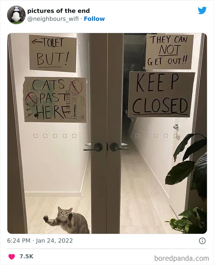 50 Funny And Bizarre Photos Shared On The "Pictures Of The End" Twitter Page (New Pics)