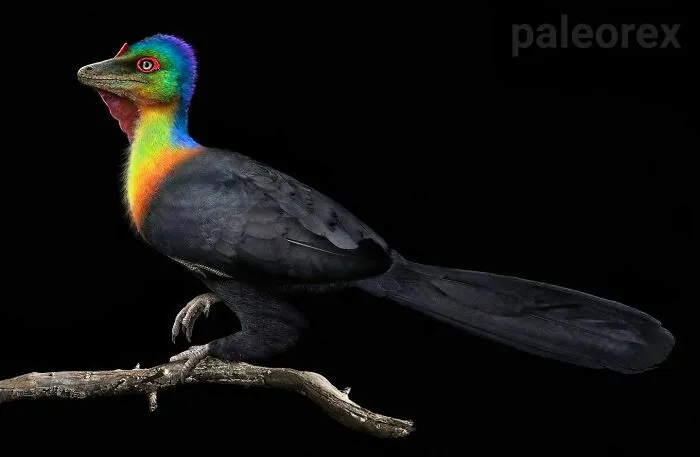 Caihong
