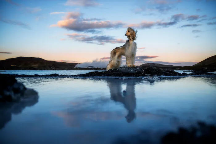 Nora At Blue Lagoon