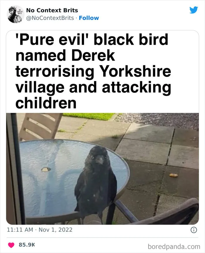 This Account Collects And Shares Out-Of-Context British Pictures, And They Are ‘Bloody’ Funny (50 New Pics)