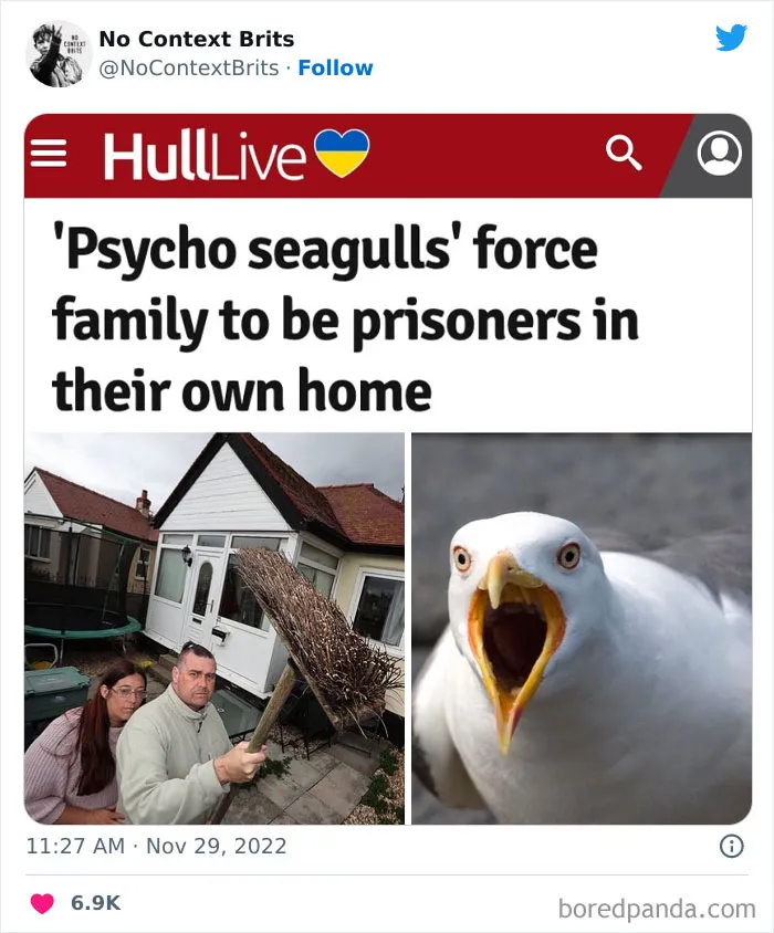 This Account Collects And Shares Out-Of-Context British Pictures, And They Are ‘Bloody’ Funny (50 New Pics)
