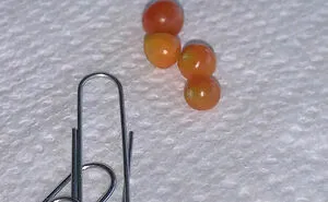 35 Times People Came Across Tiny Objects That Were So Cute, They Just Had To Share Them In This Dedicated Online Group