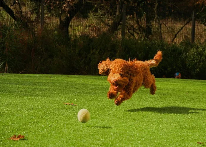 30 Hábitos y comportamientos que indican buena moral y educación