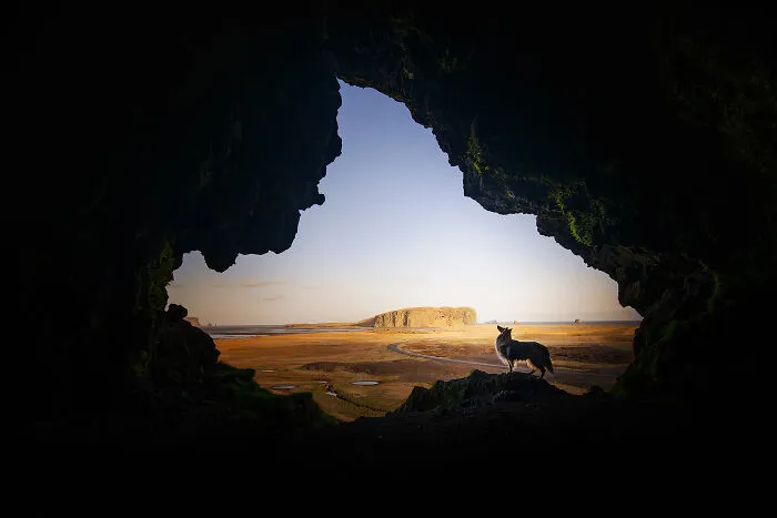 The Best Artist Is Nature Itself