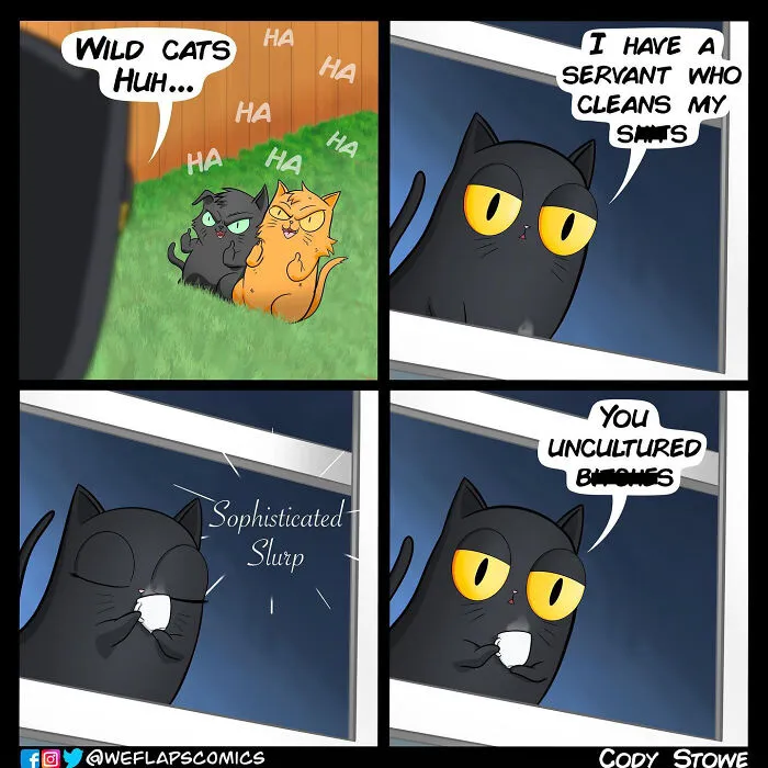 Funny Comics Illustrate The Quirks Of Living With A Cat By Cody Stone Stowe (40 New Pics)