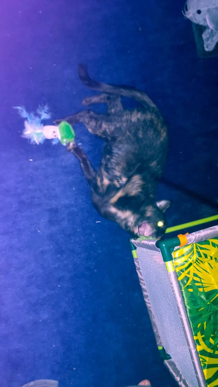 Caught A Shot Of Cinder Transforming Into A Demon