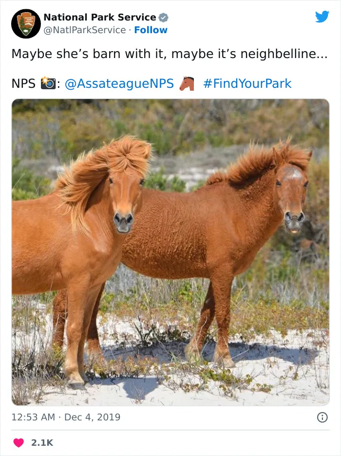 National Park Service Hired The Perfect Social Media Person As Their Tweets Are Hilarious So Here Are 34 Of The Best Ones