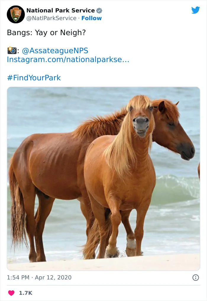 National Park Service Hired The Perfect Social Media Person As Their Tweets Are Hilarious So Here Are 34 Of The Best Ones