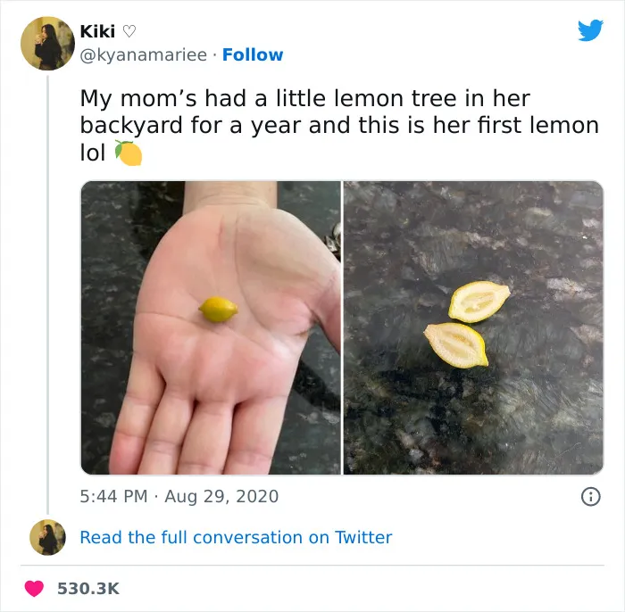 35 Times People Came Across Tiny Objects That Were So Cute, They Just Had To Share Them In This Dedicated Online Group