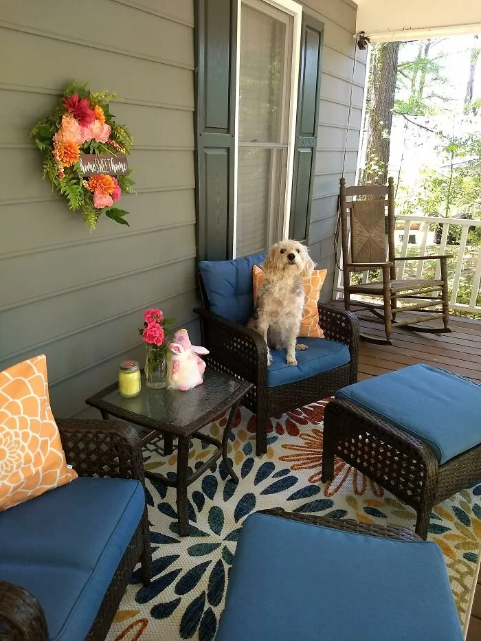 Our Rescue, Doc, Claiming His Chair On The Front Porch.  Adopted At 5 Years And Still Going Strong At 14!
