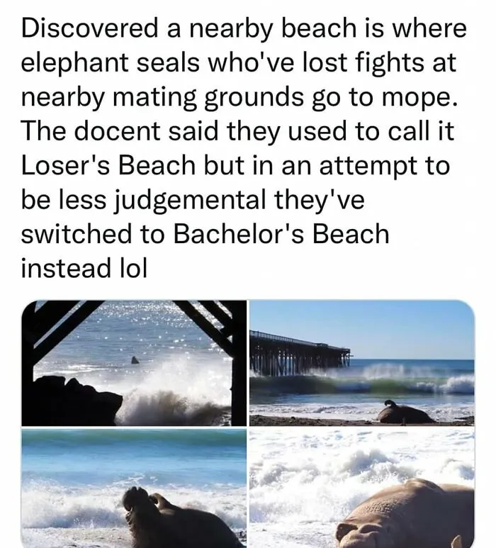 40 Times People Saw Something That Made Them Go 'Hmmm' And They Just Had To Share It Online