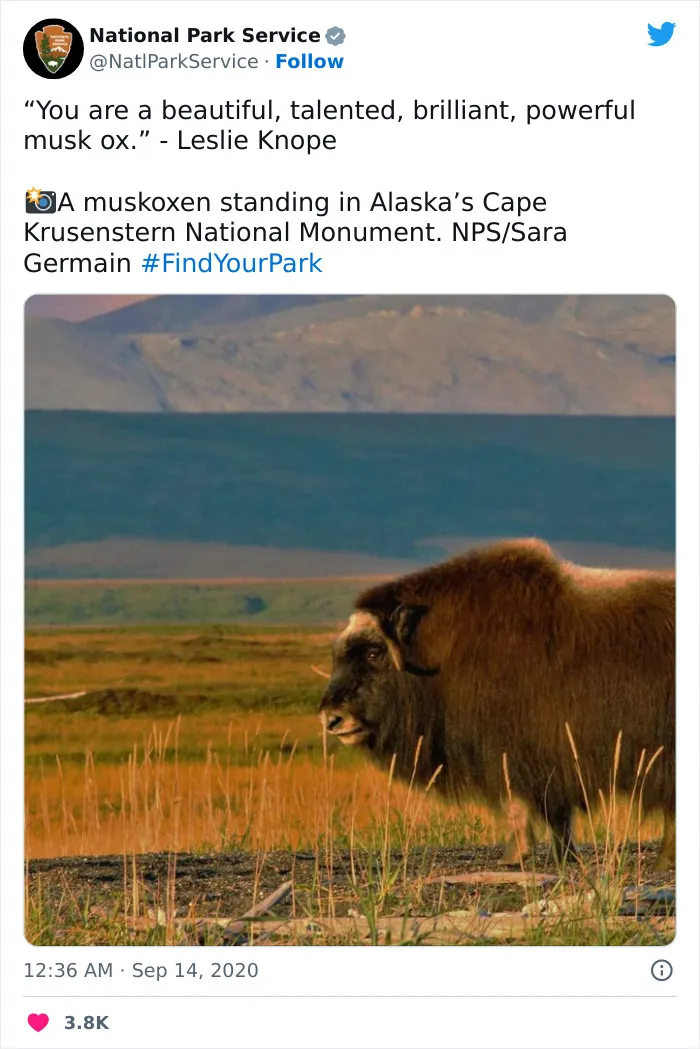 National Park Service Hired The Perfect Social Media Person As Their Tweets Are Hilarious So Here Are 34 Of The Best Ones