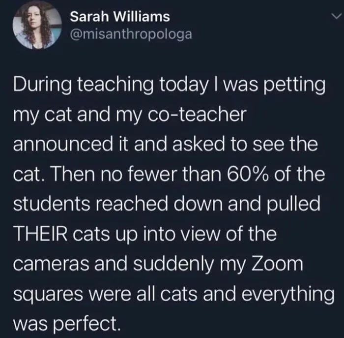 "Meow Incorporated": 50 Perfectly Accurate Memes That Capture What It’s Like Living With Cats