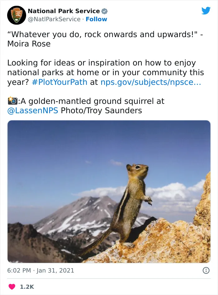 National Park Service Hired The Perfect Social Media Person As Their Tweets Are Hilarious So Here Are 34 Of The Best Ones
