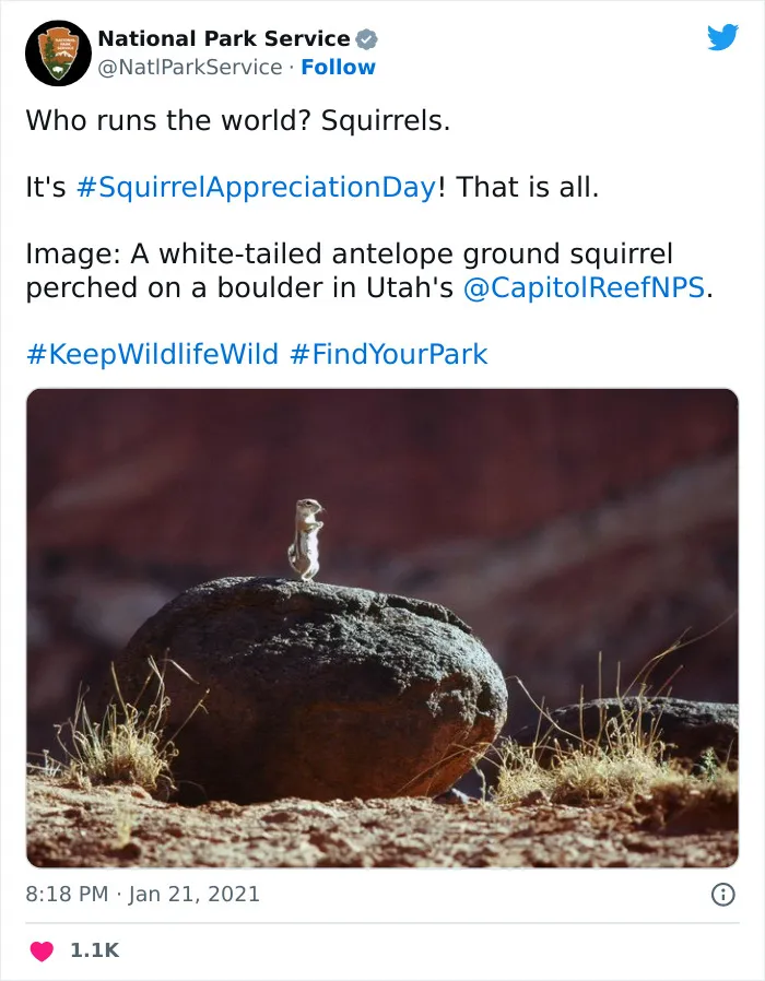 National Park Service Hired The Perfect Social Media Person As Their Tweets Are Hilarious So Here Are 34 Of The Best Ones