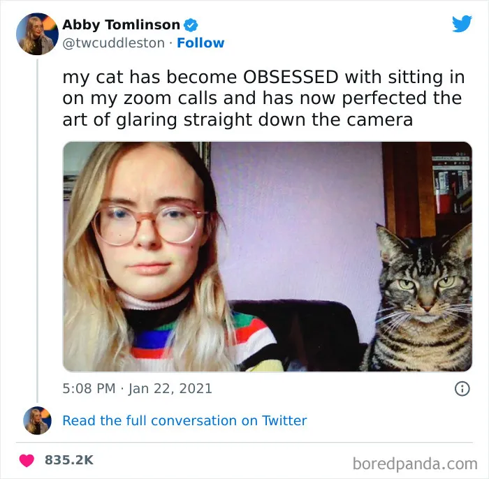 "Meow Incorporated": 50 Perfectly Accurate Memes That Capture What It’s Like Living With Cats