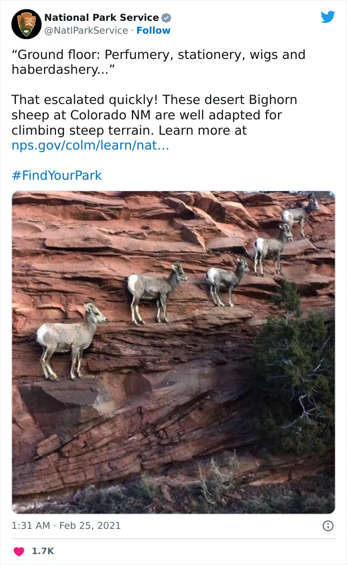 National Park Service Hired The Perfect Social Media Person As Their Tweets Are Hilarious So Here Are 34 Of The Best Ones