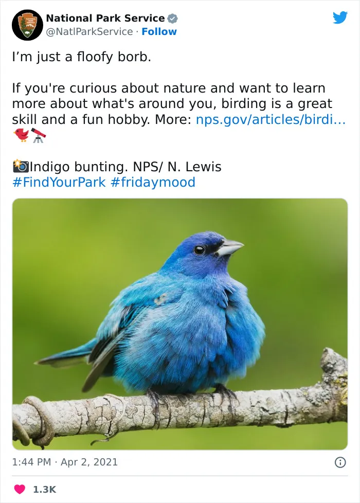 National Park Service Hired The Perfect Social Media Person As Their Tweets Are Hilarious So Here Are 34 Of The Best Ones