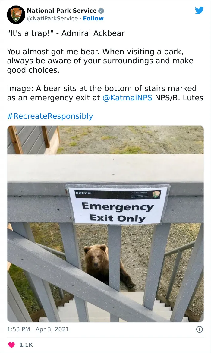 National Park Service Hired The Perfect Social Media Person As Their Tweets Are Hilarious So Here Are 34 Of The Best Ones