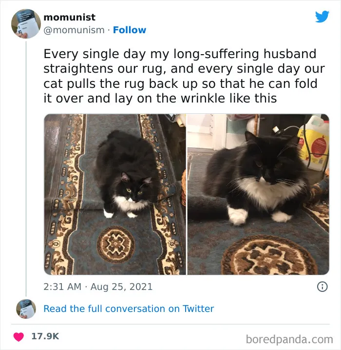 Mine Carpet