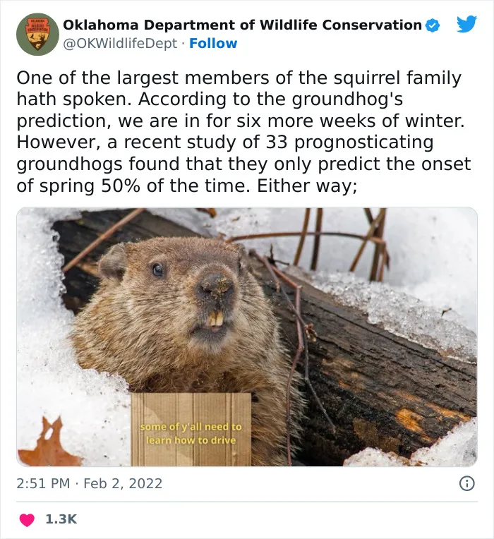 40 Tweets From The Official Oklahoma Department Of Wildlife Conservation That Might Make You Laugh